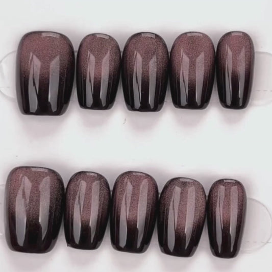 Midnight Mocha Shine
