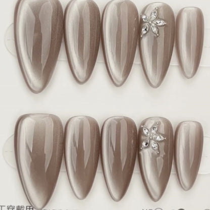 Elegant Taupe